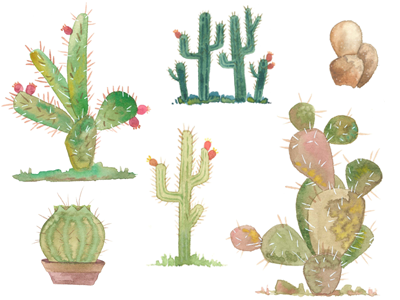 Watercolor cactus garden