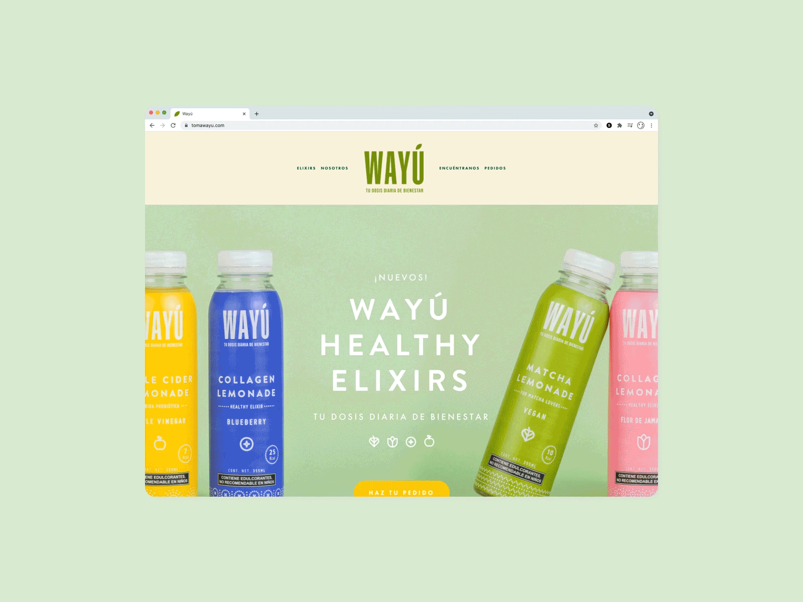 Wayú Website branding ux web website