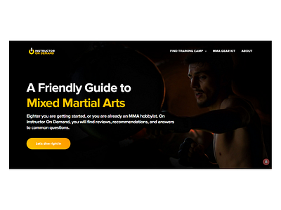 A Friendly Guide to Mixed Martial Arts