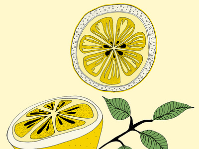 Lemon botanical cocktail cook editorial fruit ill illustration illustrationpresse kitchen lemon menu pattern summer