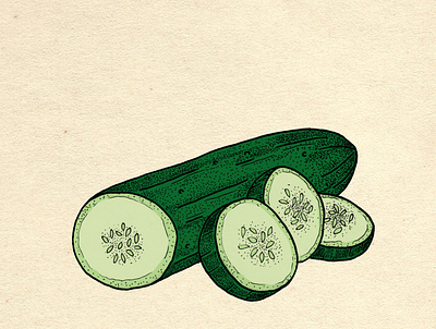 Cucumber botanical cocktail cook cucumber drawing editorial green illustration kitchen vegan vegetable veggie