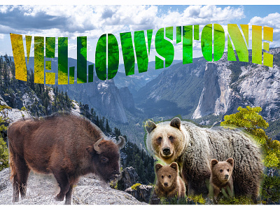 Yellowstone design digital imagery graphic design