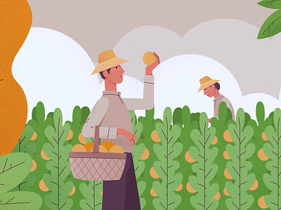 Harvesting 2d animation after effects animation cartoon character animation farm farmers harvest harvesting moho