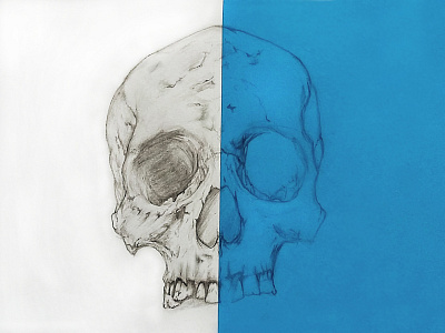 Skull - Pencil art draw illustration pencil skull