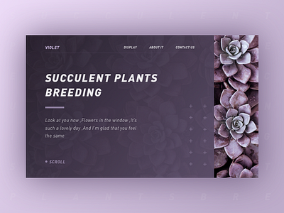 Purple website design