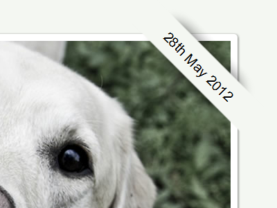 Date tab