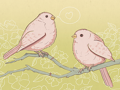 Spring birds birds cute illustration love