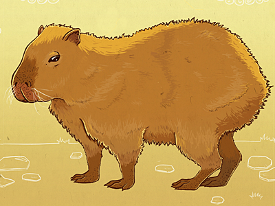 Cute Capybara Drawing