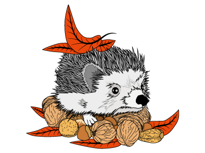 Autumn Hedgehog autumn hedgehog