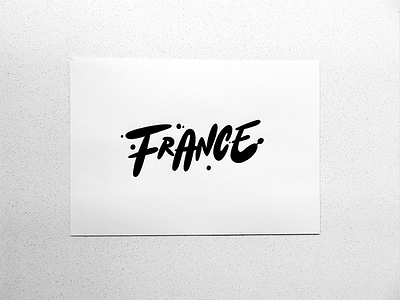 France brush type calligraphy custom type lettering logo logotype type typography