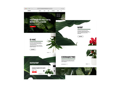 Design concept of an online plant store design design concept online shop ui web web design website website development