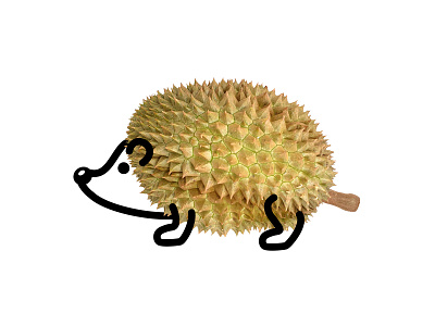 Durian Hedgehog concept art design durian fun hedgehog ideas ideastorm illustration inspiration lineart simple