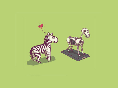 Zebra Love