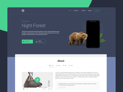 Night Forest brand document guide manual sketch specific style guides style sheet xd