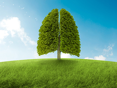 The lungs of the earth 3d concept earth ecology environmental lungs photo manipulation render tree