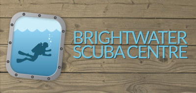 Bws Logo blue bright diving logo scuba water wood