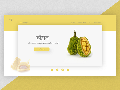 Jackfruit landing page fruit landing page landing page web design web landing page website design