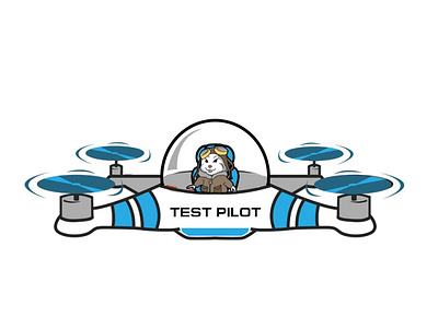 Test Pilot ad graphic design