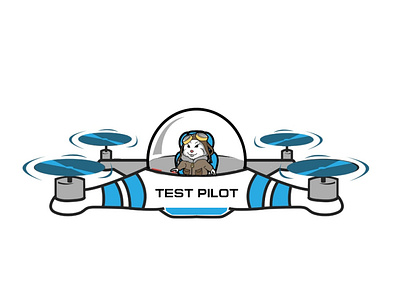 Test Pilot