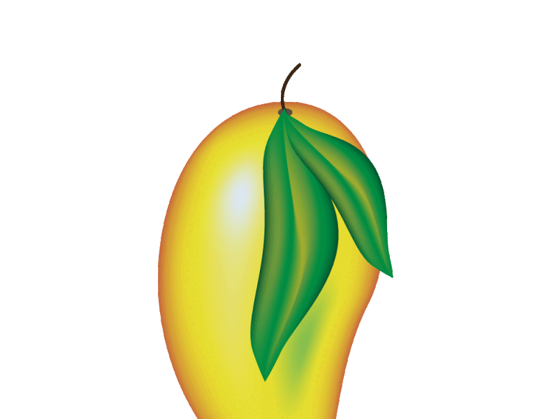 Mango vector adobe design fruit graphic design illustrator mango vector
