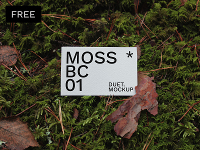 Moss Business Card 01 Mockup FREE branding business card design download free identity mockup photoshop psd template typography