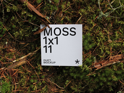 Moss Square Card 11 Mockup