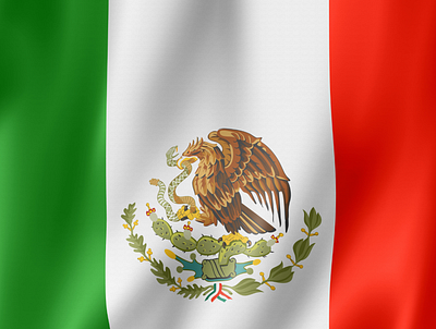 Mexico Flag design illustration