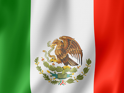 Mexico Flag by BAMM DESIGNS on Dribbble