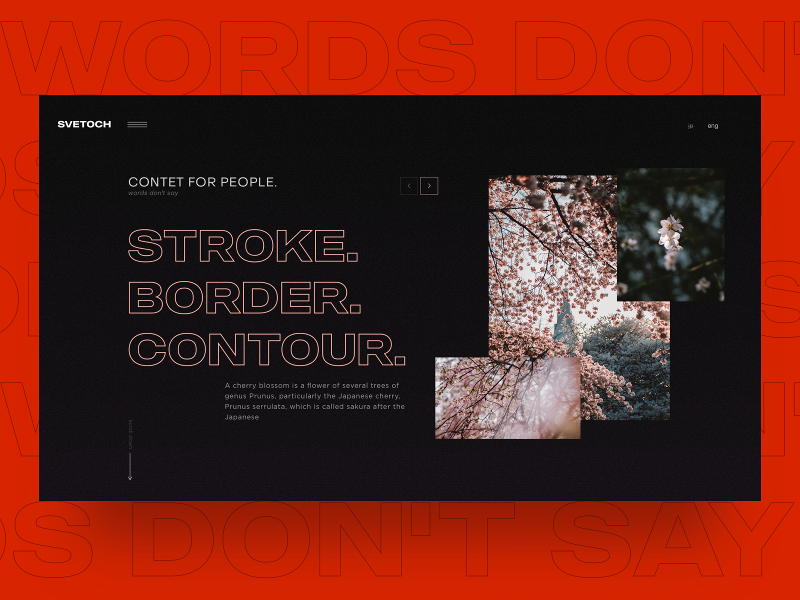 Svetoch by Dmitro Blahii on Dribbble