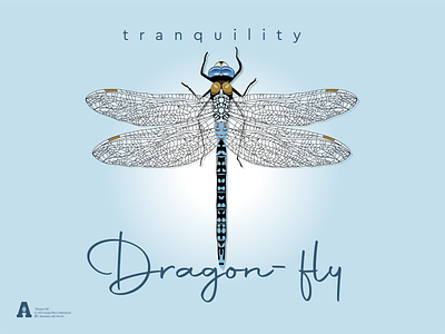 Dragon fly design dragon fly draw illustration insecto libelula naturaleza vector