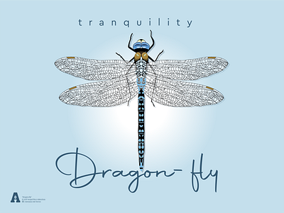 Dragon fly