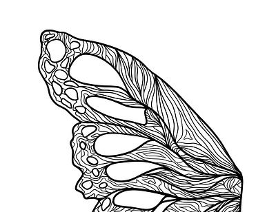 Half a butterfly butterfly wing contour lines illustration