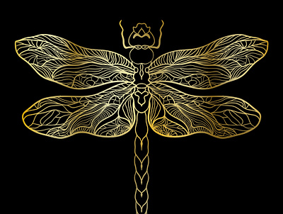 Golden gragonfly black background contour lines dragonfly golden illustration