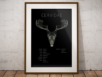 Cervdale antlers deer drawing illustration line skull