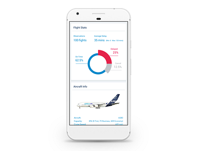 Flight Info