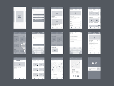 Zoo Plan wireframe