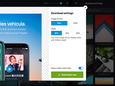 Download preview download image modal preview settings ui web app website