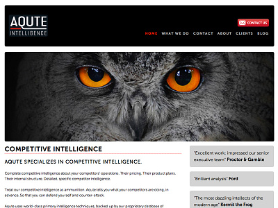 Aqute Intelligence intelligence squarespace websites