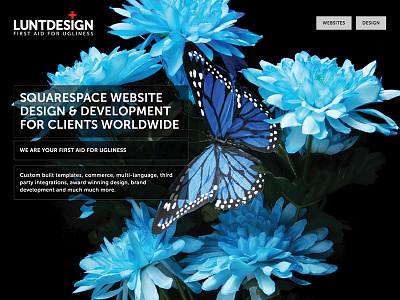 Luntdesign Launched animation design squarespace typography website