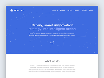 Acumen Business Solutions