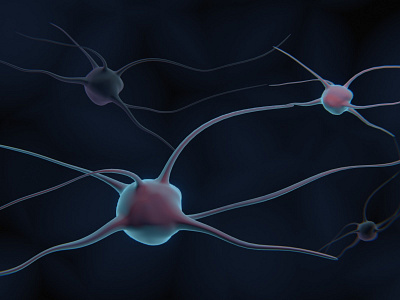 3D Neurons