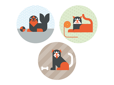 Seal Cat And Dog animals cat constructed dog grid based illustration kids playful seal sweet tiny