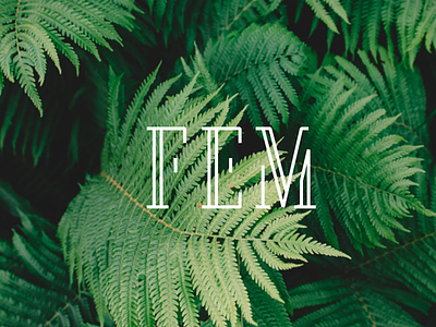 FEM branddesign branding five letters logo vector