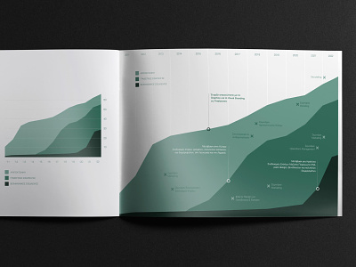 Visual Identity | Infographics branding brochure leaflet design graphic design guidelines illustration logo visual identity