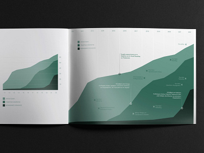 Visual Identity | Infographics