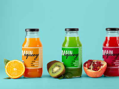 Main Squeeze Juice Brand Identity Design