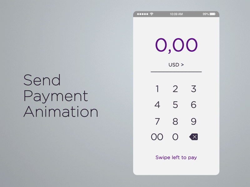 Send Payment Animation animation payment send payment