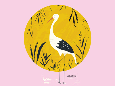 Stork Illustration