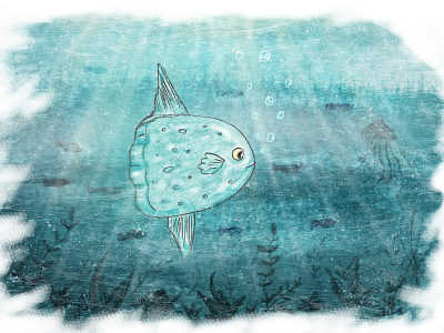Sunfish blue illustration paint photoshop sunfish water