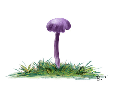 Purple Mushroom forest grass green light mushroom photoshop purple